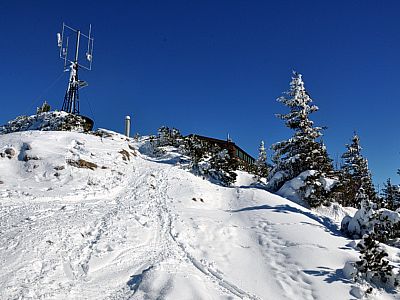 ...durch den lichten Wald den Gipfel und die Ostlerhütte.