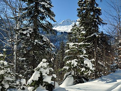 Im Süden lugt der Gipfel des Einsteins zwischen den Bäumen hervor