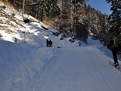 Hier verlassen wir nach rechts die Rodelbahn und...