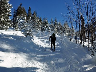 ...lichtet sich mir zunehmender Höhe.