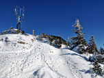 ...durch den lichten Wald den Gipfel und die Ostlerhütte.