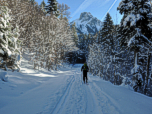 ...folgen der Skispur direkt auf den Aggenstein zu. 
