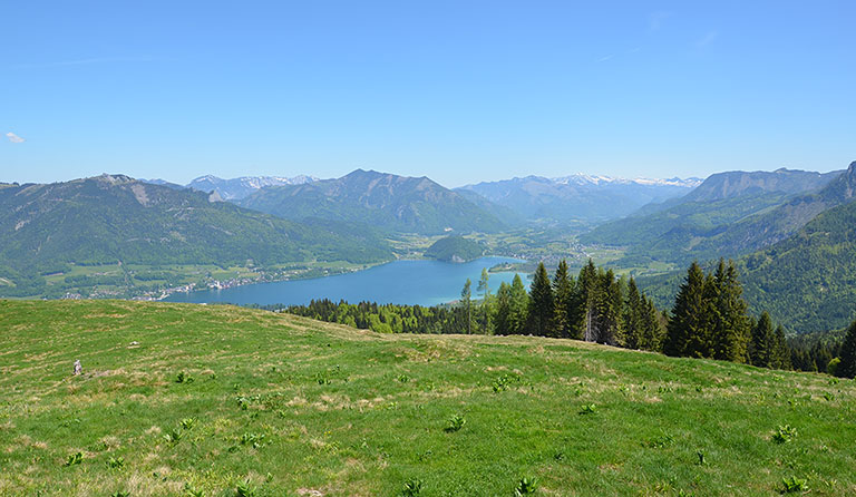 Breitenberg (1260 m) am Wolfgangsee