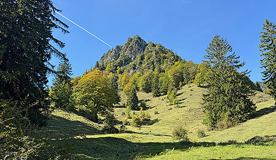 Breitenstein (1661 m) von Ettenhausen