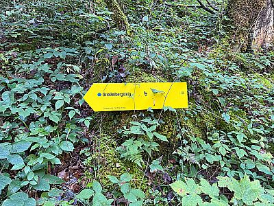 ...dem sogenannten Grießelbergsteig