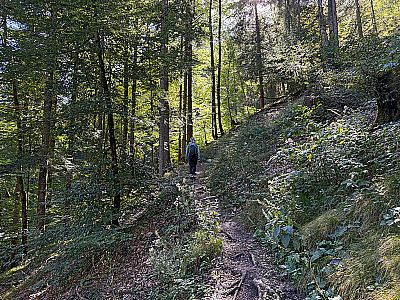 ...leitet uns der Grießelbergsteig...