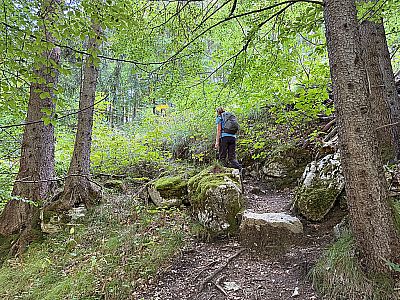 Vorschaubild 2
