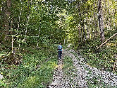 ...und geht in einen Waldweg über