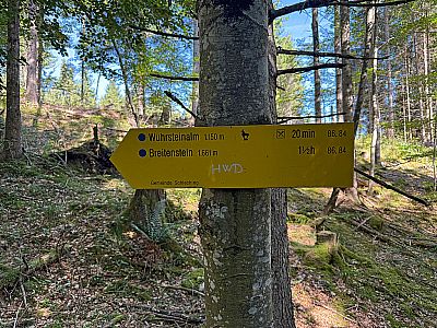 Wir nähern uns dem Breitenstein
