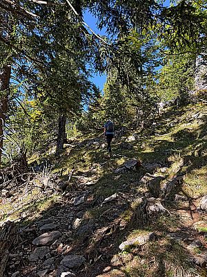 Es geht kurzzeitig wieder in den Wald hinein