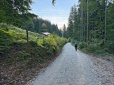 Vorschaubild 9