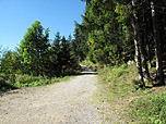 Hier verzweigt sich der Weg zur Bucheralm