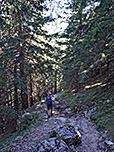 ...ein Waldstück