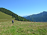 Ein Wiesenweg bringt uns zum Forstweg