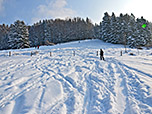 ...und wandern geradeaus weiter den Hang hinauf