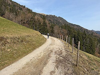 Wir folgen dem Karrenweg nach links...