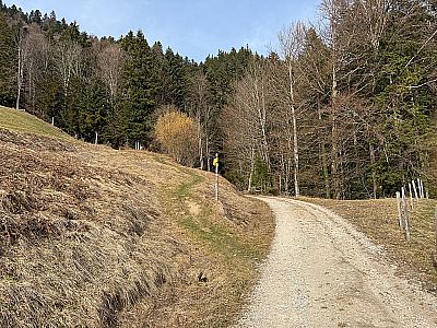 ...und biegen dann linkshaltend in einen Wiesenweg ein