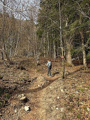 ...und wandern im Wald...