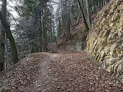 Der Weg wird deutlich breiter