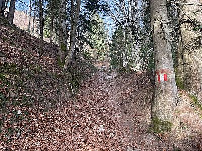 Nach einer Rechtskehre kommen wir zu einem Durchlass...