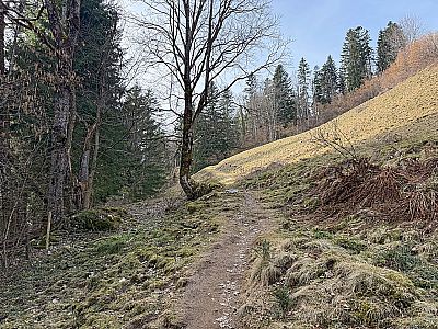 ...und betreten freies Wiesengelände