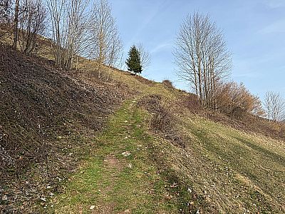In Kehren leitet uns der Wiesenweg bergauf