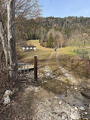 Noch vor dem Hof biegen wir links ab und überqueren den Schwaigsbach