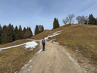 In moderater Steigung...