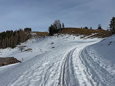 ...folgen wir dem breiten Fahrweg hinauf...