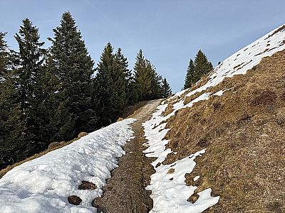 ...biegen wir links ab...