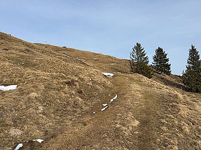 Ein Wiesenweg leitet uns dem Brennkopf entgegen