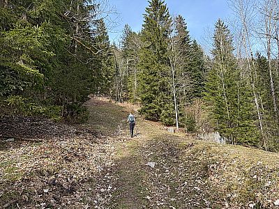 Dann steigen wir über einen Wiesenhang aufwärts...