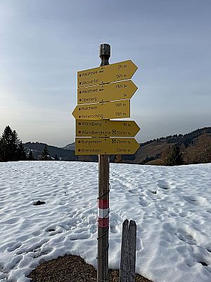 Zurück an der Knollalm...