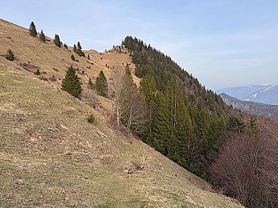 Mit Blick zum Brennköpfl...