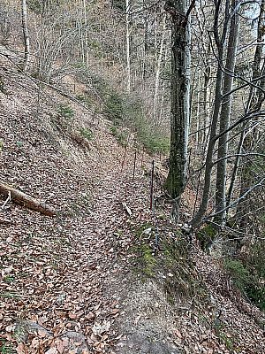 ...und einen abschüssigen Hangabschnitt