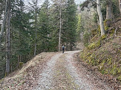 ...und treffen auf einen Forstweg