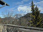 Im Hintergrund der Zahme Kaiser