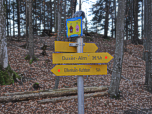 Weiter durch den Elfenhain...
