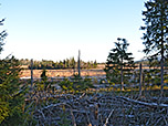 Blick aufs Torfhausmoor