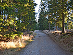 Der Waldweg...