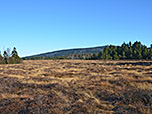 Torfhausmoor mit Brocken-Gipfel