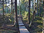 Wir wandern zurück zu unserem Aufstiegsweg...