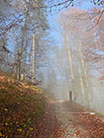 Über dem Nebel zeigt sich blauer Himmel