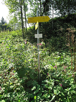 Wegweiser beim Parkplatz Mühlau