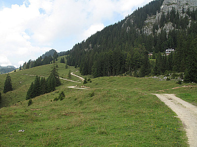 Der Forstweg führt...