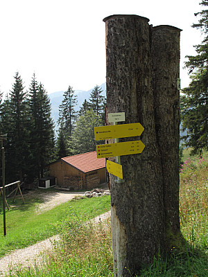 Noch vor der Hütte biegen wir links ab