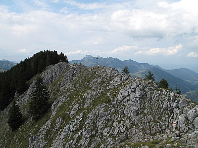 ...geht es empor zum Gipfelgrat...