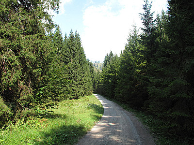 Immer geradeaus weiter...