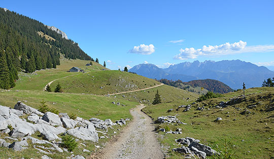 Wildalpjoch 1720 M Mangfallgebirge Bayrischzell Deutschland