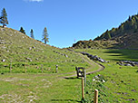 Von der Alm folgen wir einem Karrenweg
